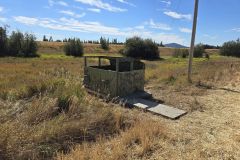 461503043_931717618973138_2687609517662148948_n