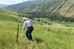2020-Blue-Mt-fence